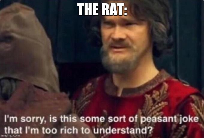 Is this some kind of peasant joke I'm too rich to understand? | THE RAT: | image tagged in is this some kind of peasant joke i'm too rich to understand | made w/ Imgflip meme maker