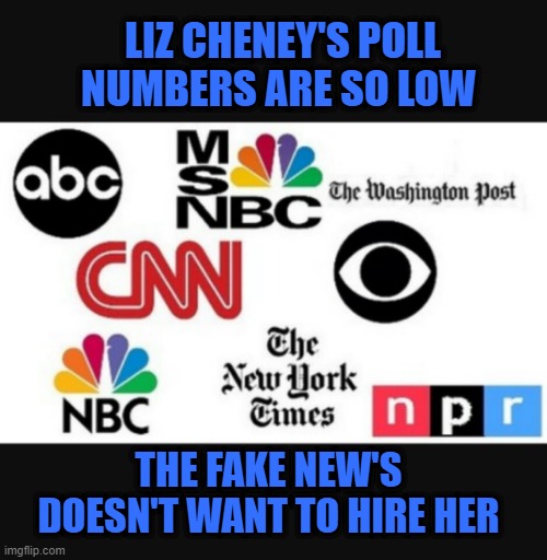 Liz Cheney not even wanted by the fake news | LIZ CHENEY'S POLL NUMBERS ARE SO LOW; THE FAKE NEW'S DOESN'T WANT TO HIRE HER | image tagged in media lies | made w/ Imgflip meme maker