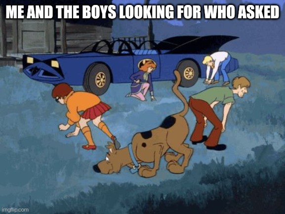 Scooby Doo Search | ME AND THE BOYS LOOKING FOR WHO ASKED | image tagged in scooby doo search | made w/ Imgflip meme maker