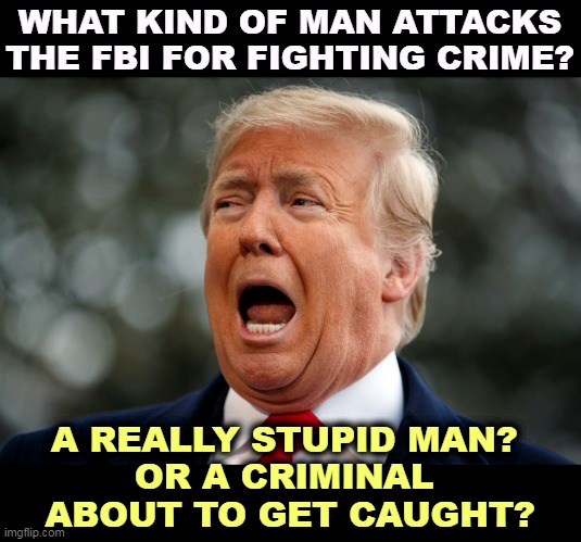 WHAT KIND OF MAN ATTACKS THE FBI FOR FIGHTING CRIME? A REALLY STUPID MAN? 
OR A CRIMINAL 
ABOUT TO GET CAUGHT? | image tagged in trump,criminal,traitor,thief,liar | made w/ Imgflip meme maker