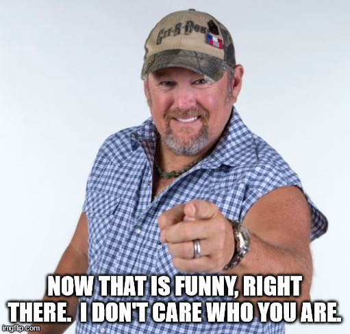 Larry the Cable Guy | NOW THAT IS FUNNY, RIGHT THERE.  I DON'T CARE WHO YOU ARE. | image tagged in larry the cable guy | made w/ Imgflip meme maker