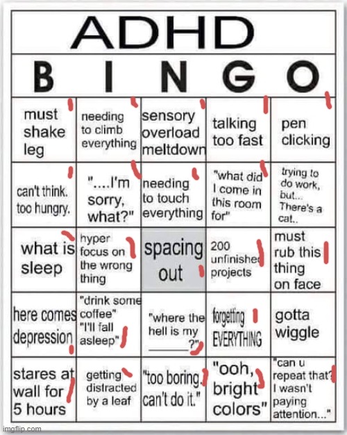 did i get bingo? | image tagged in bingo | made w/ Imgflip meme maker