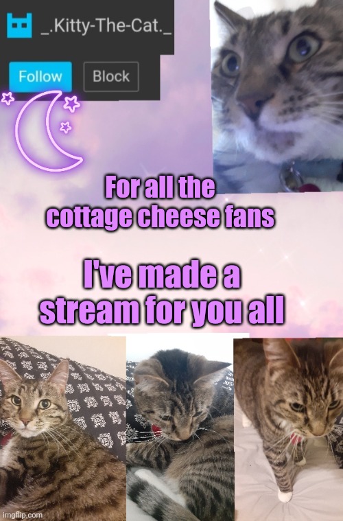 Kitty's Announcement Template | For all the cottage cheese fans; I've made a stream for you all | image tagged in kitty's announcement template | made w/ Imgflip meme maker