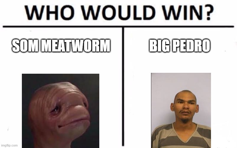 Rotten Turkey |  SOM MEATWORM; BIG PEDRO | image tagged in memes,who would win | made w/ Imgflip meme maker