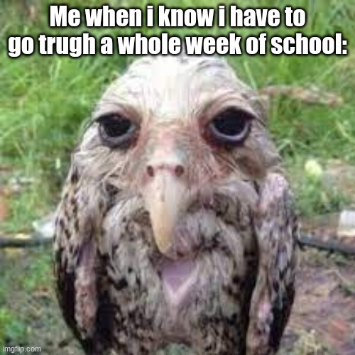 school |  Me when i know i have to go trugh a whole week of school: | image tagged in backtoschool | made w/ Imgflip meme maker