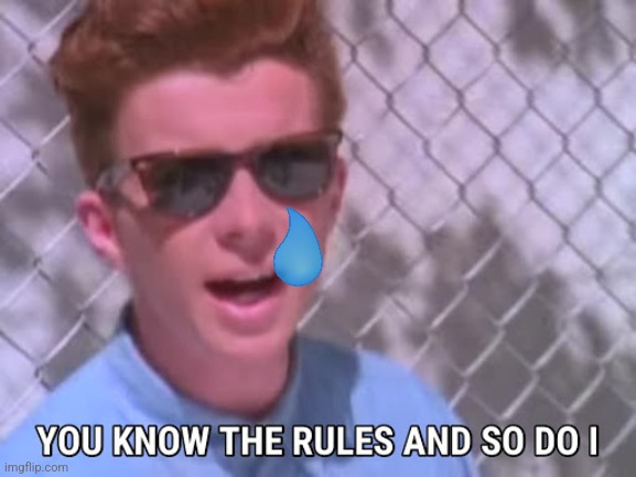 Rick astley you know the rules | image tagged in rick astley you know the rules | made w/ Imgflip meme maker