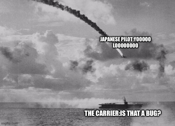 Lol | JAPANESE PILOT:YOOOOO
LOOOOOOOO; THE CARRIER:IS THAT A BUG? | image tagged in common courtesy not kamikaze | made w/ Imgflip meme maker