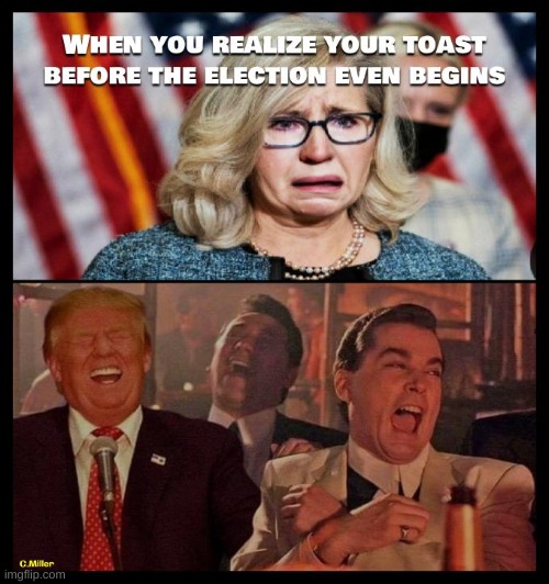 Another worthless RINO bites the dust | image tagged in liz cheney,wyoming,elections,politics,rino | made w/ Imgflip meme maker
