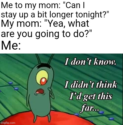 the very moment you realize all your friends are offline as you ask that | Me to my mom: "Can I stay up a bit longer tonight?"; My mom: "Yea, what are you going to do?"; Me: | image tagged in i don't know i didn't think i'd get this far | made w/ Imgflip meme maker