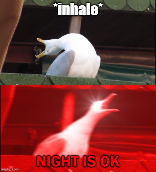 Night's parents haven't found out that she uses DeviantArt, so I can still talk to her :) | *inhale*; NIGHT IS OK | image tagged in screaming bird | made w/ Imgflip meme maker