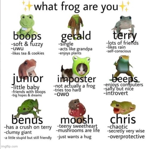 tag yourself in the comments (i'm either gerald or beeps) | image tagged in tag yourself | made w/ Imgflip meme maker