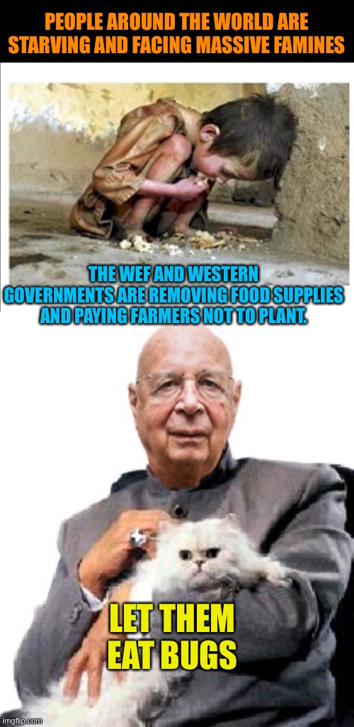 They just want you to die | PEOPLE AROUND THE WORLD ARE STARVING AND FACING MASSIVE FAMINES; THE WEF AND WESTERN GOVERNMENTS ARE REMOVING FOOD SUPPLIES AND PAYING FARMERS NOT TO PLANT. LET THEM EAT BUGS | image tagged in starving child,klaus schwab,let them eat bugs,klaus antoinette,looney left | made w/ Imgflip meme maker