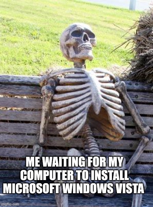 Probably most people don't know Windows Vista, because it is old | ME WAITING FOR MY COMPUTER TO INSTALL MICROSOFT WINDOWS VISTA | image tagged in waiting skeleton | made w/ Imgflip meme maker