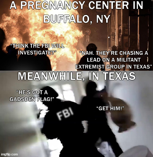 FBI Priorities | image tagged in jane's revenge,fbi,gadsden flag,terrorism | made w/ Imgflip meme maker
