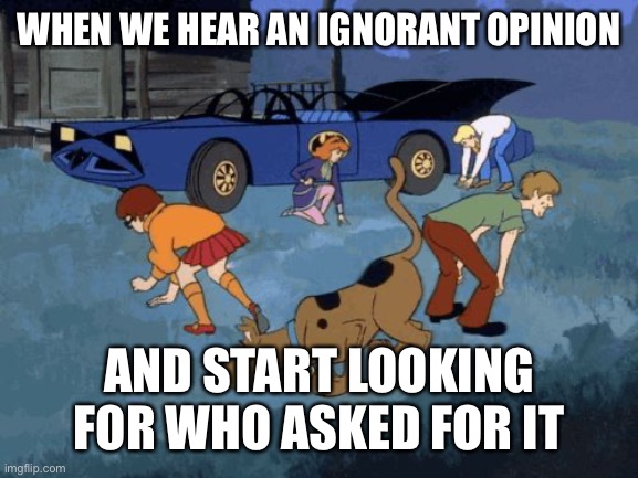 Who asked | WHEN WE HEAR AN IGNORANT OPINION; AND START LOOKING FOR WHO ASKED FOR IT | image tagged in scooby doo search,looking,who asked,opinion,ignorant | made w/ Imgflip meme maker