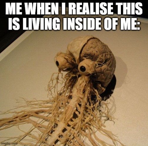 Nervous system | ME WHEN I REALISE THIS IS LIVING INSIDE OF ME: | image tagged in nervous system | made w/ Imgflip meme maker