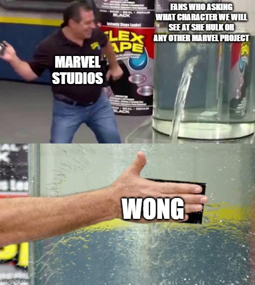 Flex Tape | FANS WHO ASKING WHAT CHARACTER WE WILL SEE AT SHE HULK OR ANY OTHER MARVEL PROJECT; MARVEL STUDIOS; WONG | image tagged in flex tape | made w/ Imgflip meme maker
