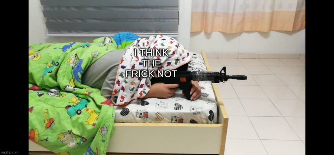 Bedroom Sniper | I THINK THE FRICK NOT | image tagged in bedroom sniper | made w/ Imgflip meme maker