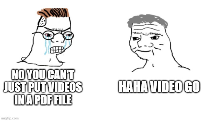 haha brrrrrrr | HAHA VIDEO GO; NO YOU CAN'T JUST PUT VIDEOS IN A PDF FILE | image tagged in haha brrrrrrr | made w/ Imgflip meme maker