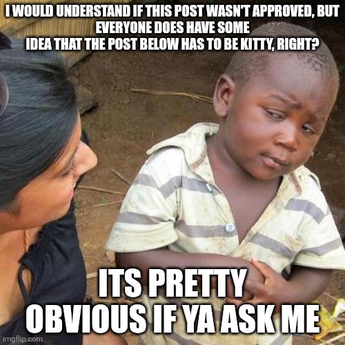 Third World Skeptical Kid |  I WOULD UNDERSTAND IF THIS POST WASN'T APPROVED, BUT
EVERYONE DOES HAVE SOME IDEA THAT THE POST BELOW HAS TO BE KITTY, RIGHT? ITS PRETTY OBVIOUS IF YA ASK ME | image tagged in memes,third world skeptical kid | made w/ Imgflip meme maker
