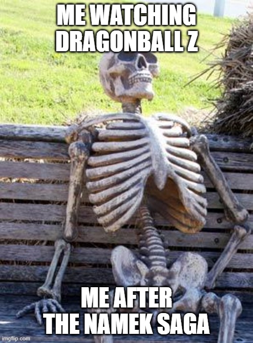 Waiting Skeleton Meme | ME WATCHING DRAGONBALL Z; ME AFTER THE NAMEK SAGA | image tagged in memes,waiting skeleton | made w/ Imgflip meme maker