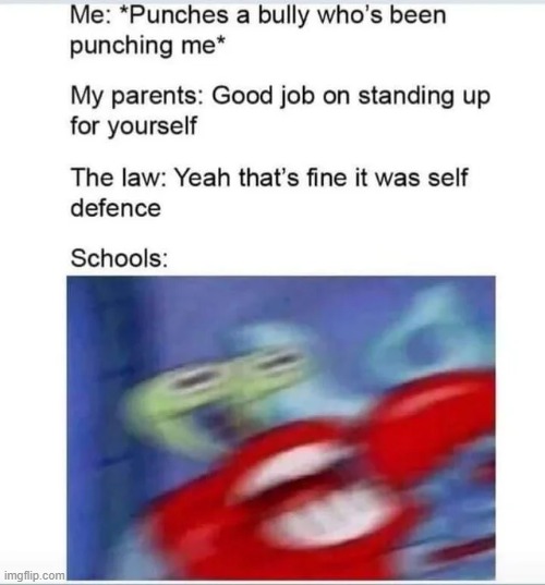 schools suck | image tagged in i hate school | made w/ Imgflip meme maker