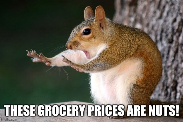 They Really Are | image tagged in squirrel,grocery prices,these grocery prices are nuts,shocked,inflation,they realy are | made w/ Imgflip meme maker