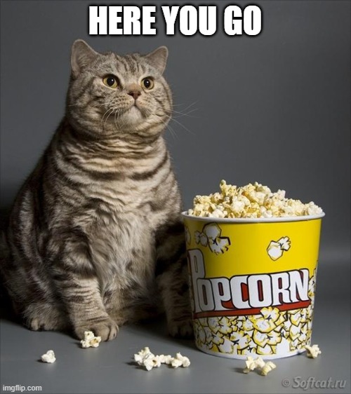 Cat eating popcorn | HERE YOU GO | image tagged in cat eating popcorn | made w/ Imgflip meme maker