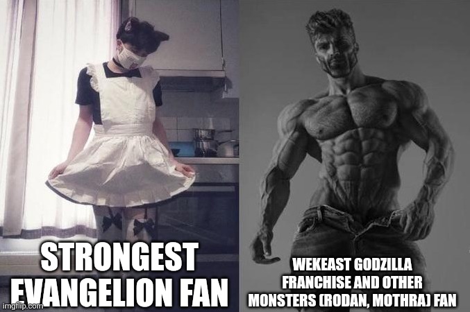 Strongest Fan VS Weakest Fan | STRONGEST EVANGELION FAN; WEKEAST GODZILLA FRANCHISE AND OTHER MONSTERS (RODAN, MOTHRA) FAN | image tagged in strongest fan vs weakest fan | made w/ Imgflip meme maker