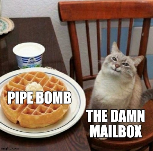 Cat likes their waffle | PIPE BOMB; THE DAMN MAILBOX | image tagged in cat likes their waffle | made w/ Imgflip meme maker