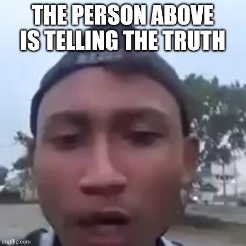 bintang | THE PERSON ABOVE IS TELLING THE TRUTH | image tagged in bintang | made w/ Imgflip meme maker