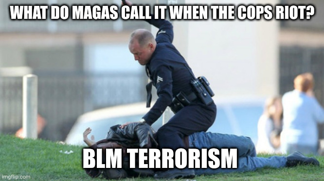 Cop Beating | WHAT DO MAGAS CALL IT WHEN THE COPS RIOT? BLM TERRORISM | image tagged in cop beating | made w/ Imgflip meme maker
