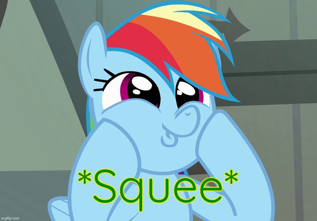 Dashface (MLP) | *Squee* | image tagged in dashface mlp | made w/ Imgflip meme maker
