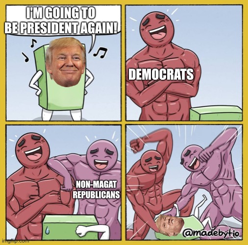 Guy getting beat up | I'M GOING TO BE PRESIDENT AGAIN! DEMOCRATS; NON-MAGAT REPUBLICANS | image tagged in guy getting beat up | made w/ Imgflip meme maker