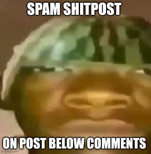 shitpost | SPAM SHITPOST; ON POST BELOW COMMENTS | image tagged in shitpost | made w/ Imgflip meme maker