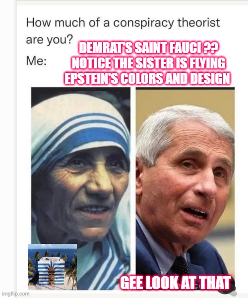 WOW this ones scarey. | DEMRAT'S SAINT FAUCI ?? NOTICE THE SISTER IS FLYING EPSTEIN'S COLORS AND DESIGN; GEE LOOK AT THAT | image tagged in democrat | made w/ Imgflip meme maker