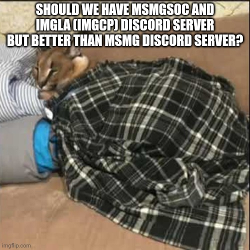 Floppa sleeping | SHOULD WE HAVE MSMGSOC AND IMGLA (IMGCP) DISCORD SERVER BUT BETTER THAN MSMG DISCORD SERVER? | image tagged in floppa sleeping | made w/ Imgflip meme maker