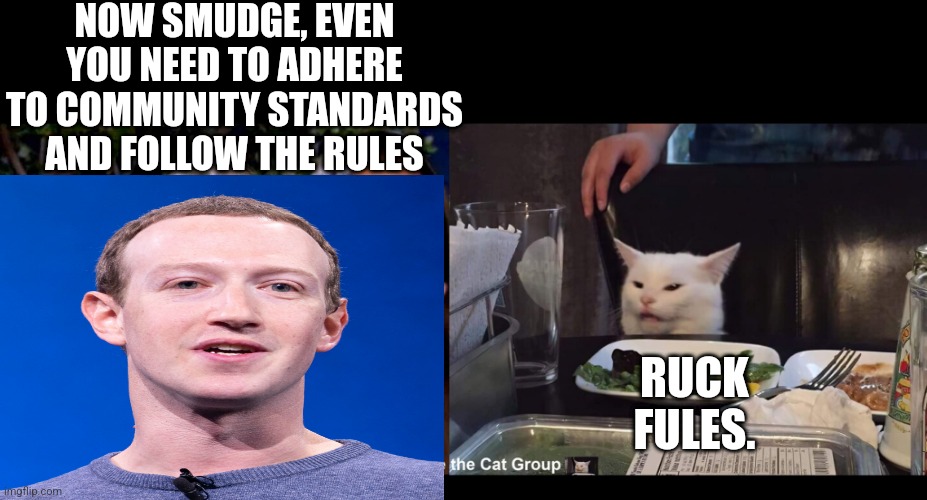  NOW SMUDGE, EVEN YOU NEED TO ADHERE TO COMMUNITY STANDARDS AND FOLLOW THE RULES; RUCK FULES. | image tagged in smudge the cat | made w/ Imgflip meme maker