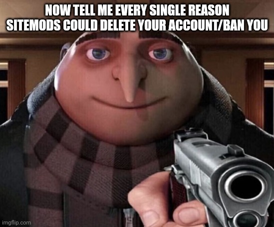 I would like to now what you can or can't do | NOW TELL ME EVERY SINGLE REASON SITEMODS COULD DELETE YOUR ACCOUNT/BAN YOU | image tagged in gru gun | made w/ Imgflip meme maker