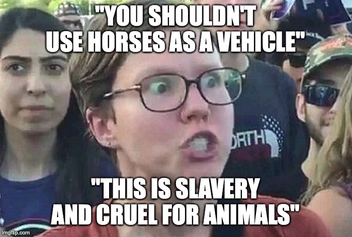 Triggered Liberal | "YOU SHOULDN'T USE HORSES AS A VEHICLE" "THIS IS SLAVERY AND CRUEL FOR ANIMALS" | image tagged in triggered liberal | made w/ Imgflip meme maker