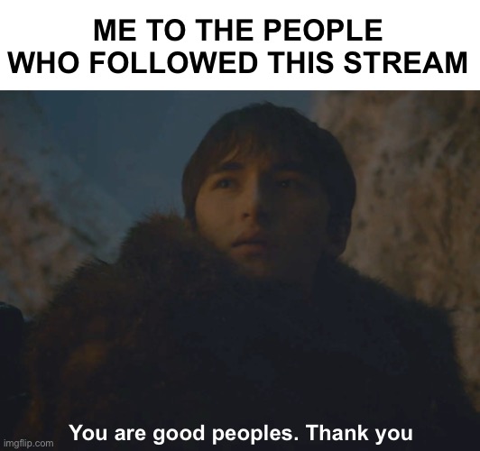 You're a good man, I thank you | ME TO THE PEOPLE WHO FOLLOWED THIS STREAM; You are good peoples. Thank you | image tagged in you're a good man i thank you | made w/ Imgflip meme maker