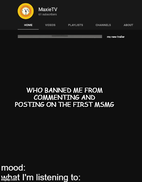 NEW MAXIETV TEMP | WHO BANNED ME FROM COMMENTING AND POSTING ON THE FIRST MSMG | image tagged in new maxietv temp | made w/ Imgflip meme maker