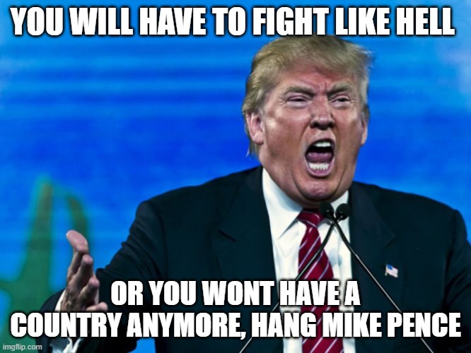 YOU WILL HAVE TO FIGHT LIKE HELL OR YOU WONT HAVE A COUNTRY ANYMORE, HANG MIKE PENCE | image tagged in trump yelling | made w/ Imgflip meme maker