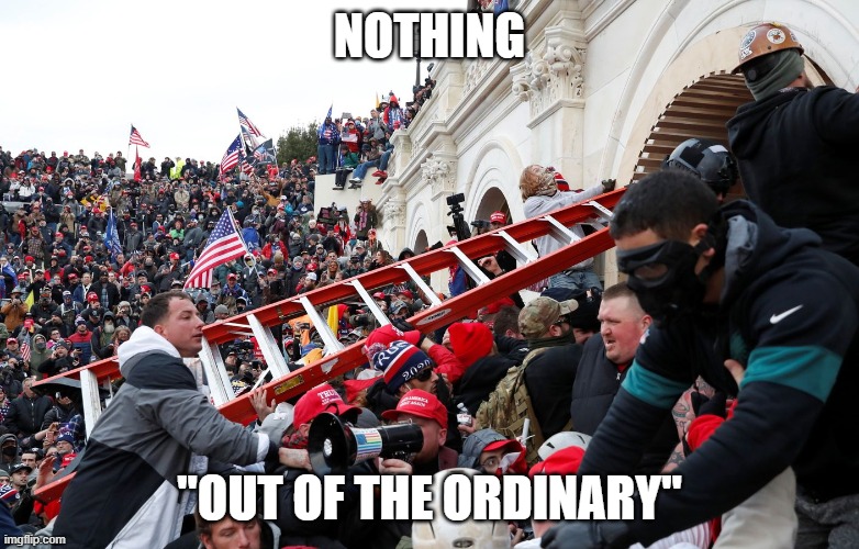 NOTHING "OUT OF THE ORDINARY" | image tagged in qanon - insurrection - trump riot - sedition | made w/ Imgflip meme maker