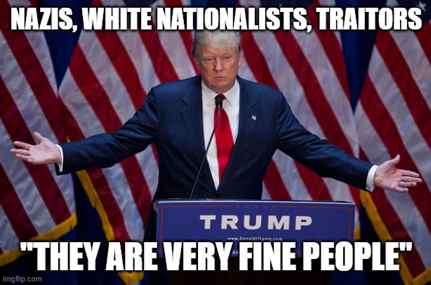 NAZIS, WHITE NATIONALISTS, TRAITORS "THEY ARE VERY FINE PEOPLE" | image tagged in donald trump | made w/ Imgflip meme maker