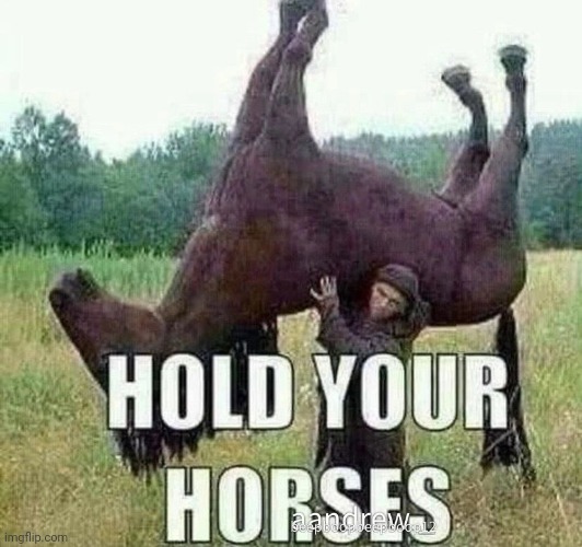 Hold your horses | image tagged in hold your horses | made w/ Imgflip meme maker