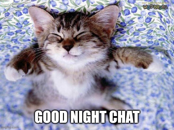 UpsideDwon Sleeping Cat | GOOD NIGHT CHAT | image tagged in upsidedwon sleeping cat | made w/ Imgflip meme maker