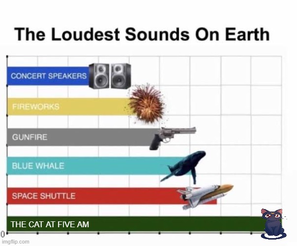 Cats at night=loud | THE CAT AT FIVE AM | image tagged in the loudest sounds on earth,cats,cat | made w/ Imgflip meme maker