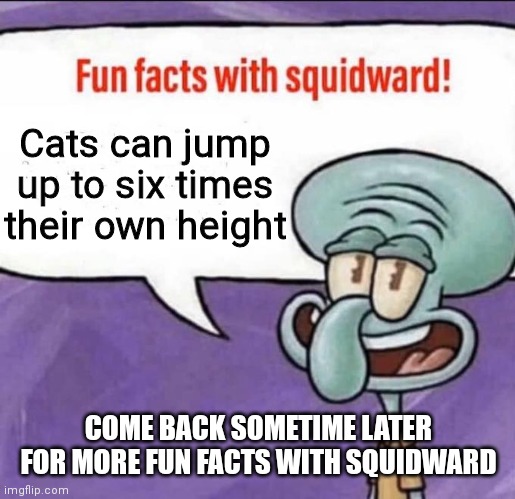 Fun facts with Squidward 2 | Cats can jump up to six times their own height; COME BACK SOMETIME LATER FOR MORE FUN FACTS WITH SQUIDWARD | image tagged in fun facts with squidward | made w/ Imgflip meme maker