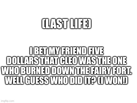 Last life Fairy Drama | (LAST LIFE); I BET MY FRIEND FIVE DOLLARS THAT CLEO WAS THE ONE WHO BURNED DOWN THE FAIRY FORT. WELL GUESS WHO DID IT? (I WON!) | image tagged in blank white template | made w/ Imgflip meme maker
